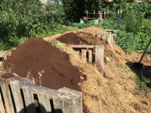 Edible Rhody, City Farm, Compost