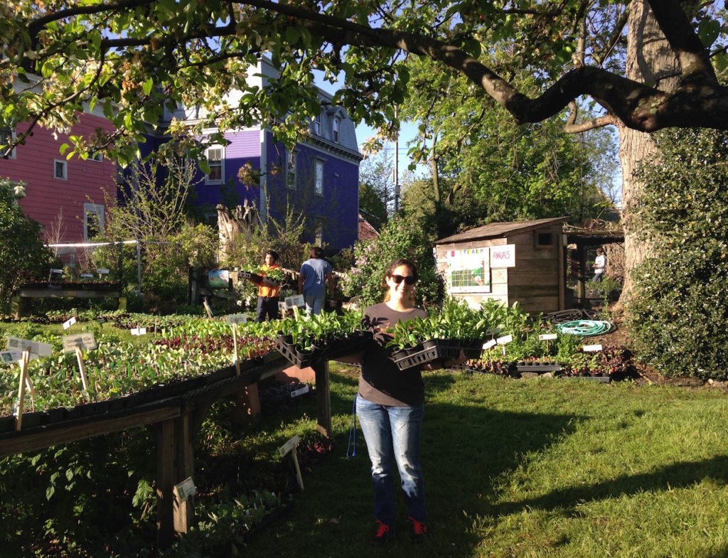 Plant Sale Southside Community Land Trust