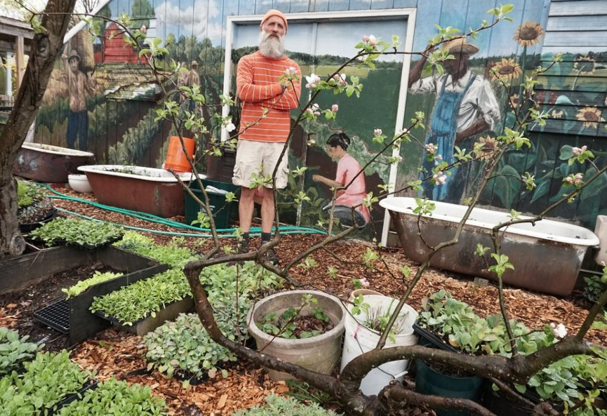 Rare and Unusual Plant Sale in Providence will kickstart your garden