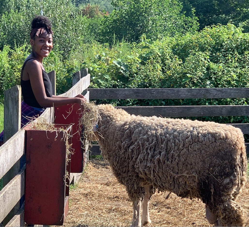 SCLT jobs Southside Community Land Trust