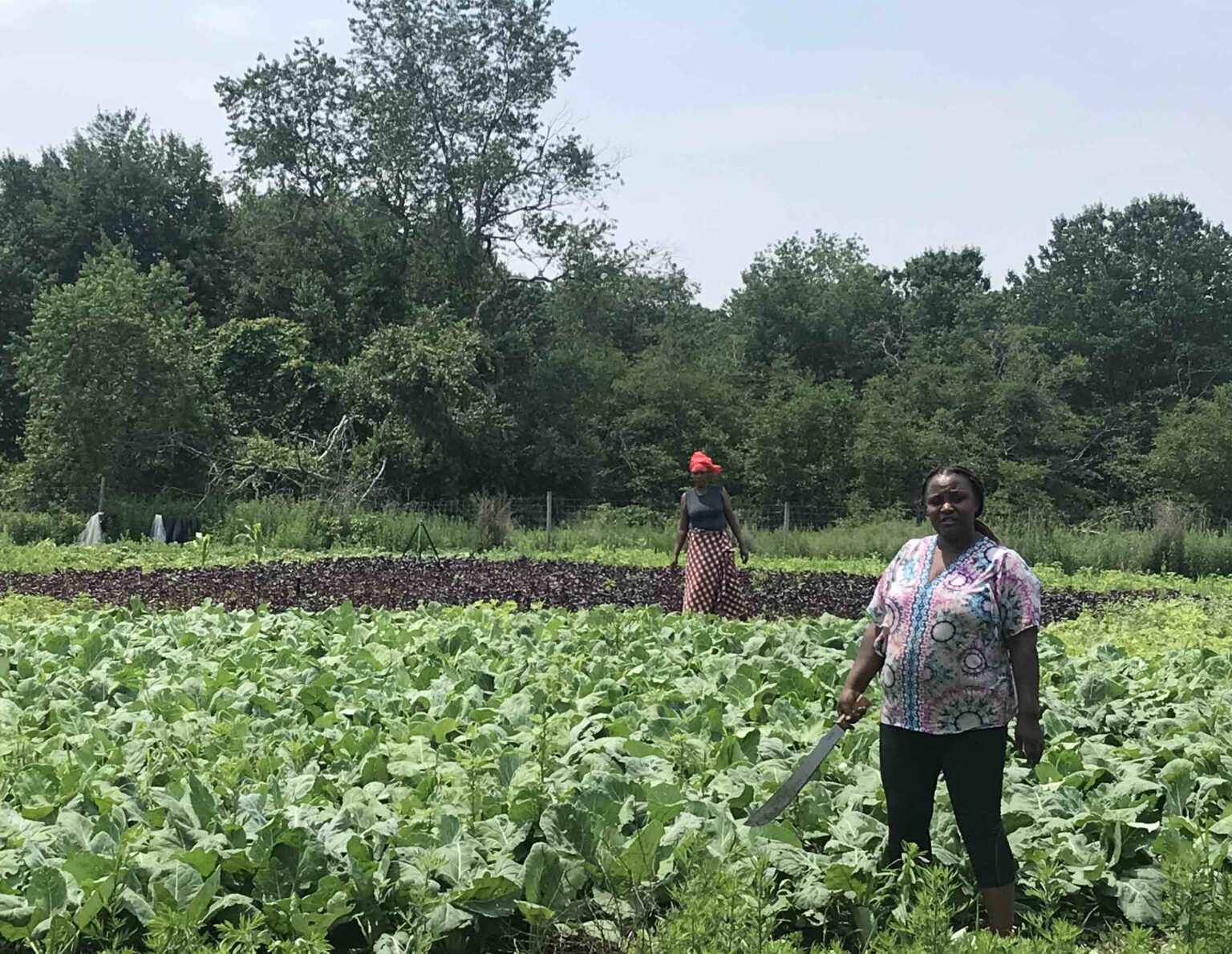 Record number of farmers win statefunded LASA grants Southside